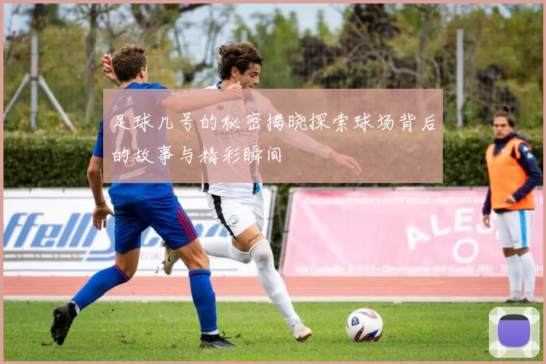 足球几号的秘密揭晓探索球场背后的故事与精彩瞬间